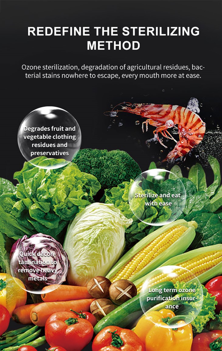Commercial Veggie Washer